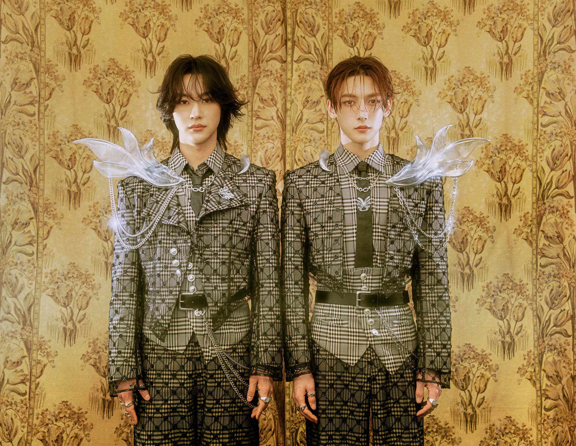 ROIROM 1st Concert 2026 “MYSTIQUE” | 2026.7.19sun 20mon | 横浜アリーナ